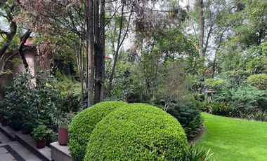 PASEO DE LA REFORMA LOMAS DE CHAPULTEPEC EN RENTA CON O SIN MUEBLES