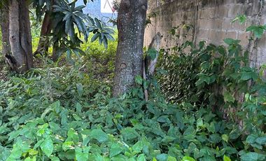 TERRENO URBANO EN VENTA ESPEJO I CENTRO TABASCO