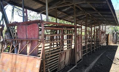 VENDO 900 HECTAREAS EN EL SUR DE SON DE VERAGUAS
