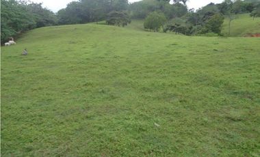 VENDO 900 HECTAREAS EN EL SUR DE SON DE VERAGUAS