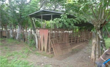VENDO 900 HECTAREAS EN EL SUR DE SON DE VERAGUAS