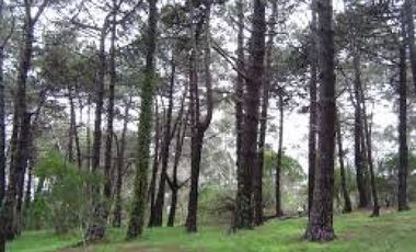 Lote Mar de las Pampas - Oportunidad