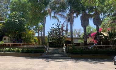 RENTA LOCAL TENECIA DE MORELOS MORELIA LOC_1796A MOR/RS