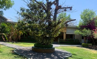 RENTA LOCAL TENECIA DE MORELOS MORELIA LOC_1796A MOR/RS