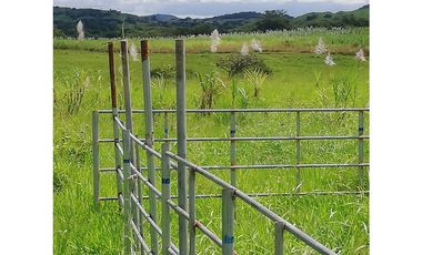 VENDO 1110 HECTAREAS EN VERAGUAS, OPORTUNIDAD ÚNICA