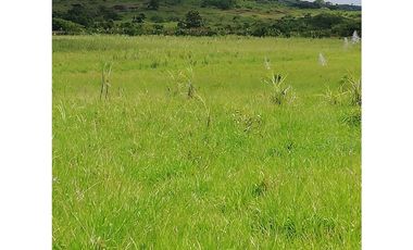 VENDO 1110 HECTAREAS EN VERAGUAS, OPORTUNIDAD ÚNICA