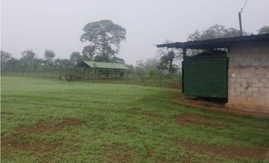 VENDO 1110 HECTAREAS EN VERAGUAS, OPORTUNIDAD ÚNICA