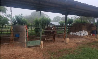 VENDO 1110 HECTAREAS EN VERAGUAS, OPORTUNIDAD ÚNICA