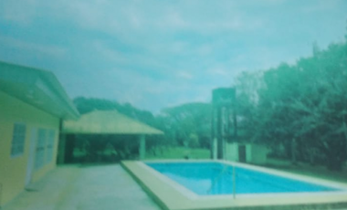 VENDO 1110 HECTAREAS EN VERAGUAS, OPORTUNIDAD ÚNICA