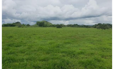 VENDO 1110 HECTAREAS EN VERAGUAS, OPORTUNIDAD ÚNICA