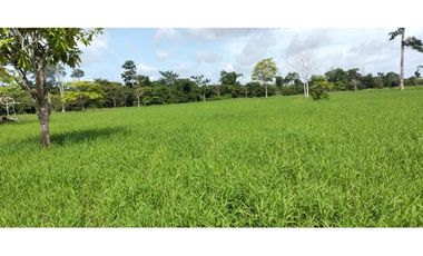 VENDO 1110 HECTAREAS EN VERAGUAS, OPORTUNIDAD ÚNICA