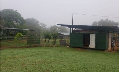 VENDO 1110 HECTAREAS EN VERAGUAS, OPORTUNIDAD ÚNICA