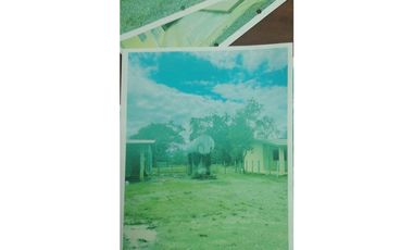 VENDO 1110 HECTAREAS EN VERAGUAS, OPORTUNIDAD ÚNICA