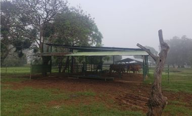 VENDO 1110 HECTAREAS EN VERAGUAS, OPORTUNIDAD ÚNICA