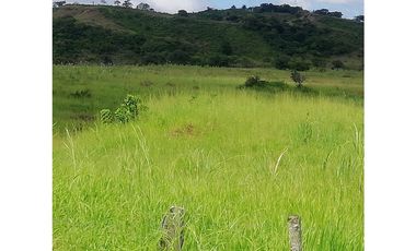 VENDO 1110 HECTAREAS EN VERAGUAS, OPORTUNIDAD ÚNICA