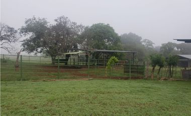 VENDO 1110 HECTAREAS EN VERAGUAS, OPORTUNIDAD ÚNICA