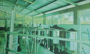 VENDO 1110 HECTAREAS EN VERAGUAS, OPORTUNIDAD ÚNICA