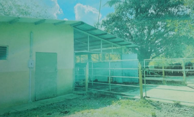 VENDO 1110 HECTAREAS EN VERAGUAS, OPORTUNIDAD ÚNICA