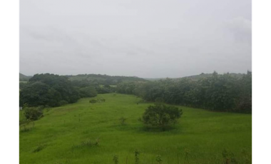 VENDO 1110 HECTAREAS EN VERAGUAS, OPORTUNIDAD ÚNICA