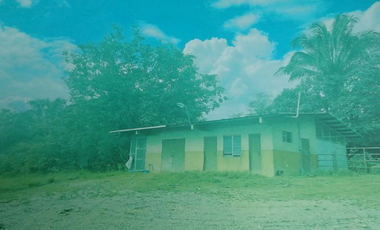 VENDO 1110 HECTAREAS EN VERAGUAS, OPORTUNIDAD ÚNICA