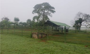 VENDO 1110 HECTAREAS EN VERAGUAS, OPORTUNIDAD ÚNICA