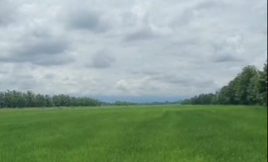 Terreno de Venta en sector Naranjito