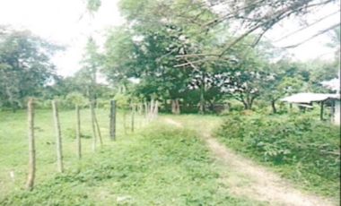 TERRENO EN VENTA DE CASI 4 HECTAREAS EN RIO HATO