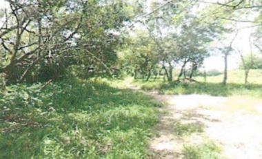 TERRENO EN VENTA DE CASI 4 HECTAREAS EN RIO HATO