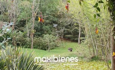 finca en arriendo en la ceja. Cod A65413
