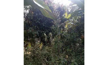 FUNDO AGRCOLA PARA SIEMBRA O PROYECTOS DIVERSOS EN CHANCHAMAYO