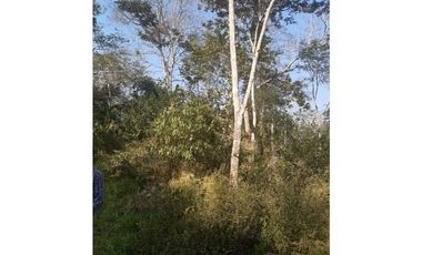 FUNDO AGRCOLA PARA SIEMBRA O PROYECTOS DIVERSOS EN CHANCHAMAYO