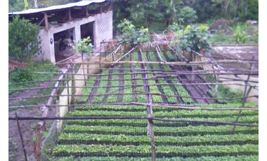 FUNDO AGRCOLA PARA SIEMBRA O PROYECTOS DIVERSOS EN CHANCHAMAYO