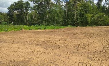 3 Km UIN Pekalongan: Kavling Standar Perumahan Bojong, 100 Jt-an