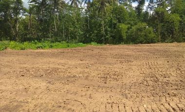 3 Km UIN Pekalongan: Kavling Standar Perumahan Bojong, 100 Jt-an