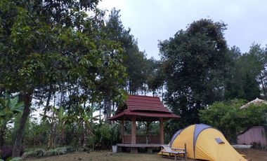 Villa 2 Lantai Asri Dekat Kebun Teh Gedeh PTPN VIII, 25 Menit dari Istana Presiden Cipanas Harga Cuma 400 juta-an.
