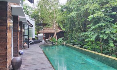 Freehold - Luxury Freehold Riverside Villa with Infinity Pool near Sanur, Bali