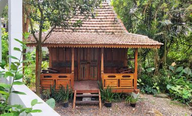 Freehold - Luxury Freehold Riverside Villa with Infinity Pool near Sanur, Bali