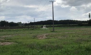 Sitio en Venta en colinda con Calle Manuel Rodriguez.