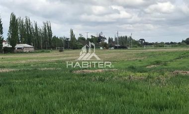 Sitio en Venta en colinda con Calle Manuel Rodriguez.