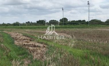 Sitio en Venta en colinda con Calle Manuel Rodriguez.