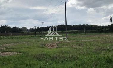 Sitio en Venta en colinda con Calle Manuel Rodriguez.