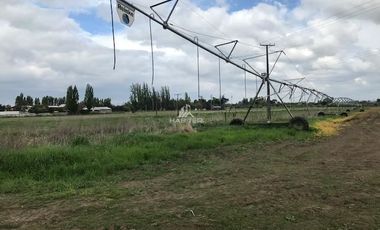 Sitio en Venta en colinda con Calle Manuel Rodriguez.