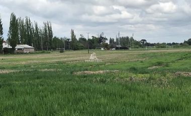 Sitio en Venta en colinda con Calle Manuel Rodriguez.