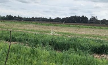 Sitio en Venta en colinda con Calle Manuel Rodriguez.