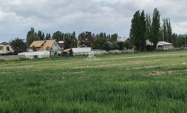 Sitio en Venta en colinda con Calle Manuel Rodriguez.