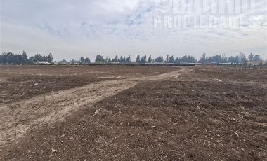 Sitio en Venta en Chicureo - Chicureo Centro