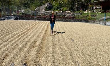 VR-436 RANCHO CAFETALERO PRODUCTIVO EN CHIAPAS
