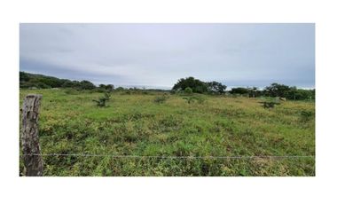 Terreno en Venta Altamira, Tamps