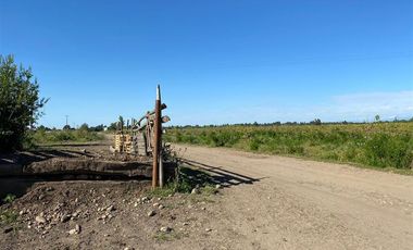 Agrícola en Venta en avenida esperanza