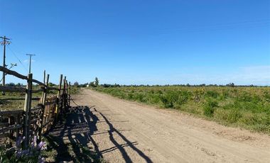 Agrícola en Venta en avenida esperanza